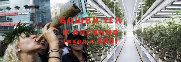 PSILOCYBIN Рославль