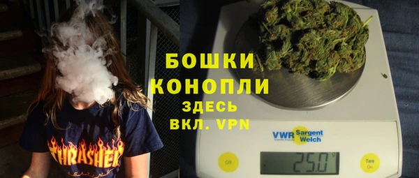 PSILOCYBIN Рославль